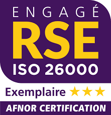 LOGO RSEI EXEMPLAIRE